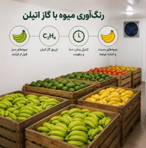 رنگ آوری میوه با گاز اتیلن