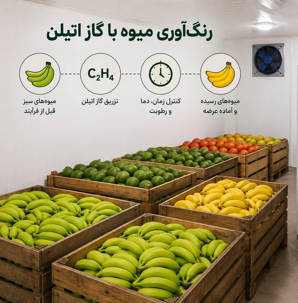 رنگ آوری میوه با گاز اتیلن