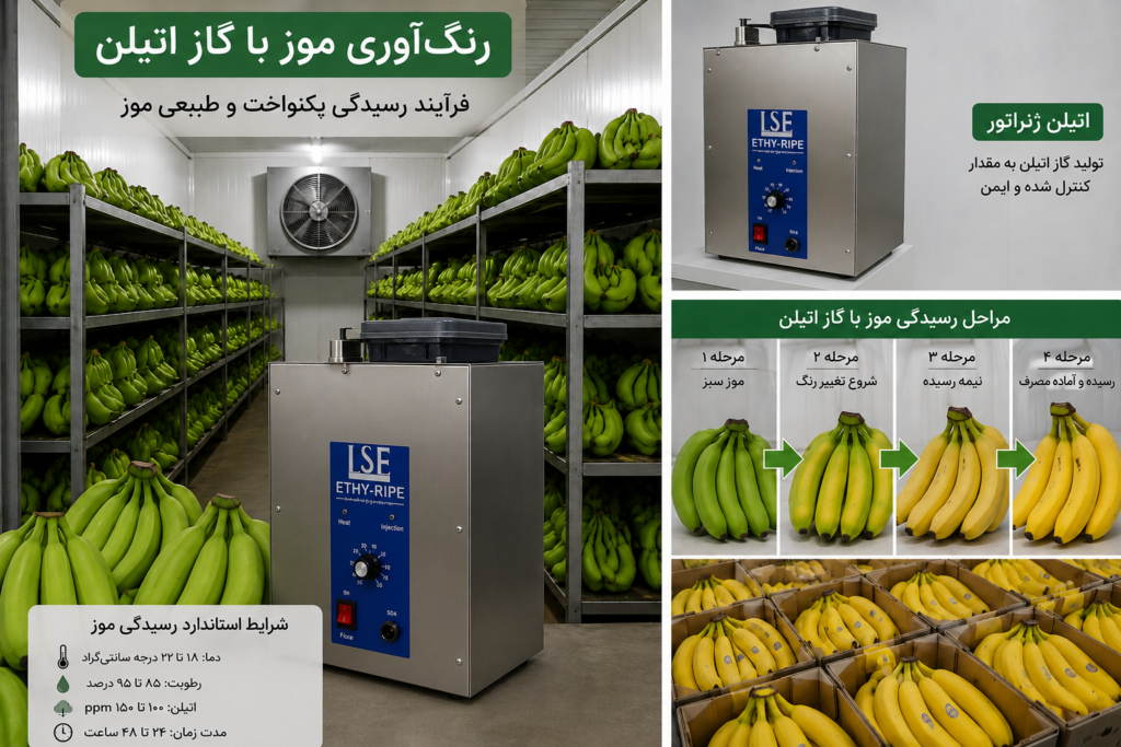 رنگ آوری موز با گاز اتیلن