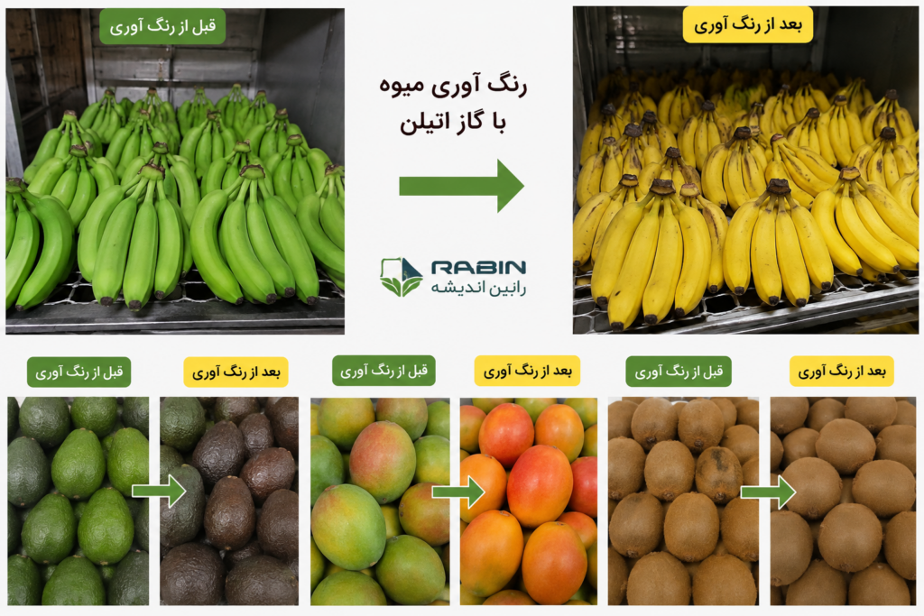 گاز اتیلن موز