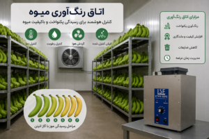 اتاق رنگ آوری میوه
