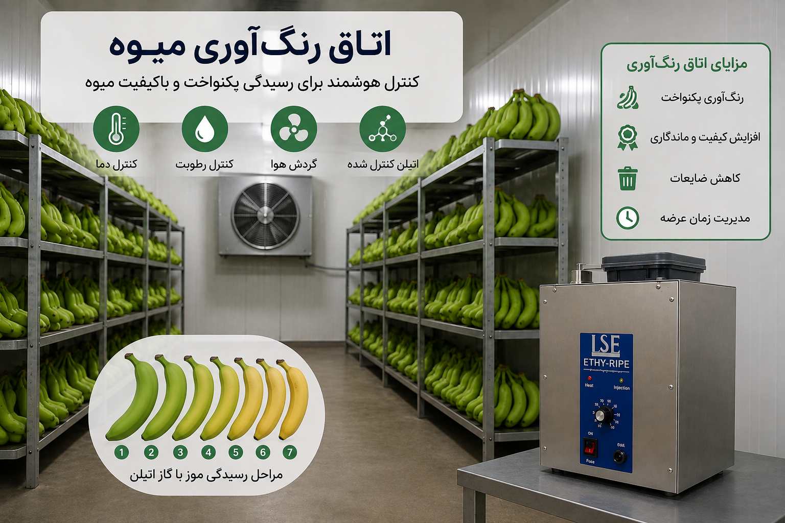 اتاق رنگ آوری میوه